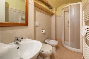 Shower, hair dryer, bidet, towels