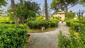 Um caminho no jardim leva a um edifício amarelo, rodeado por vegetação exuberante e árvores altas.
