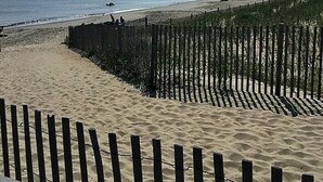 A beach with a wooden fence and a clear view of the ocean. - Family friendly home w/  360 views of the bay and wild life preserve (Milton)