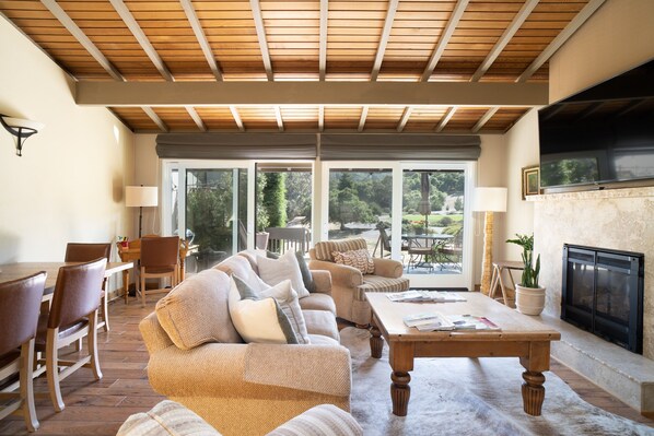 Smart TV, fireplace, books