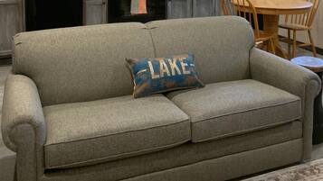 TV connectée, cheminée, livres