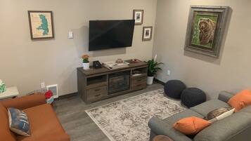 Smart TV, fireplace, books
