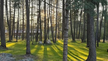 Enceinte de lâhĂ©bergement