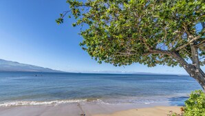 Ein Strand mit klarem, blauem Wasser, einem sandigen Ufer und einem Baum, der Schatten spendet.