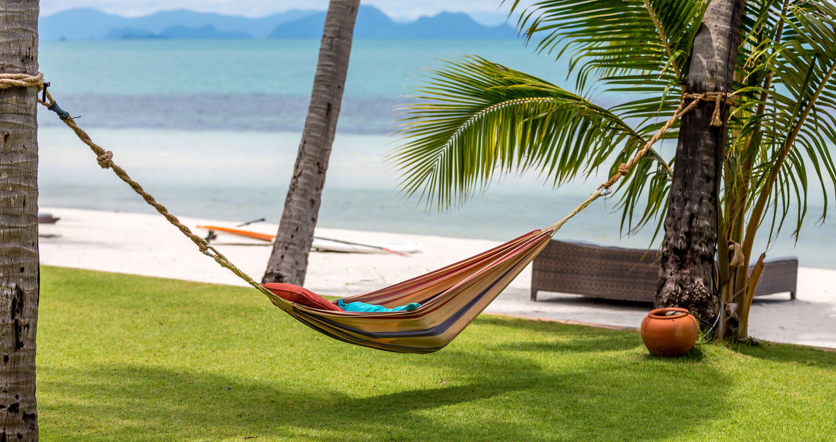 A hammock tied between palm trees on a grassy area with a beach and ocean in the background.
