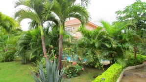 A lush garden with palm trees, a swimming pool, and a well-maintained lawn.
