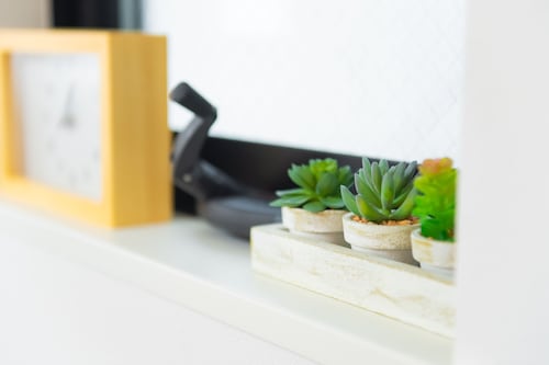 客室の設備とサービス