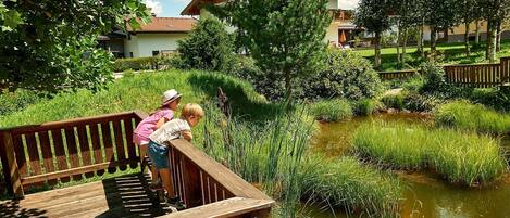 Terrein van de accommodatie