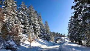 Eine verschneite Straße mit einer Brücke, umgeben von immergrünen Bäumen.