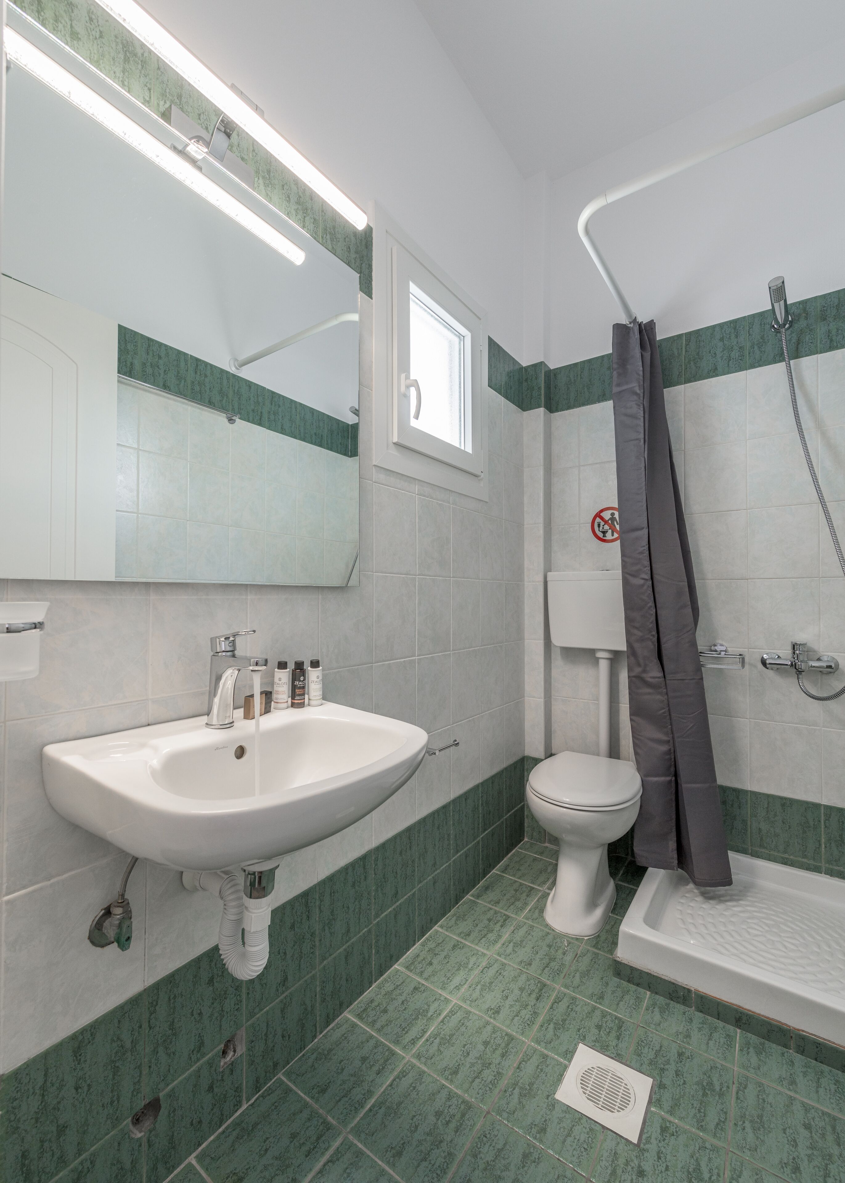 A bathroom with a white sink, a toilet, and a shower.