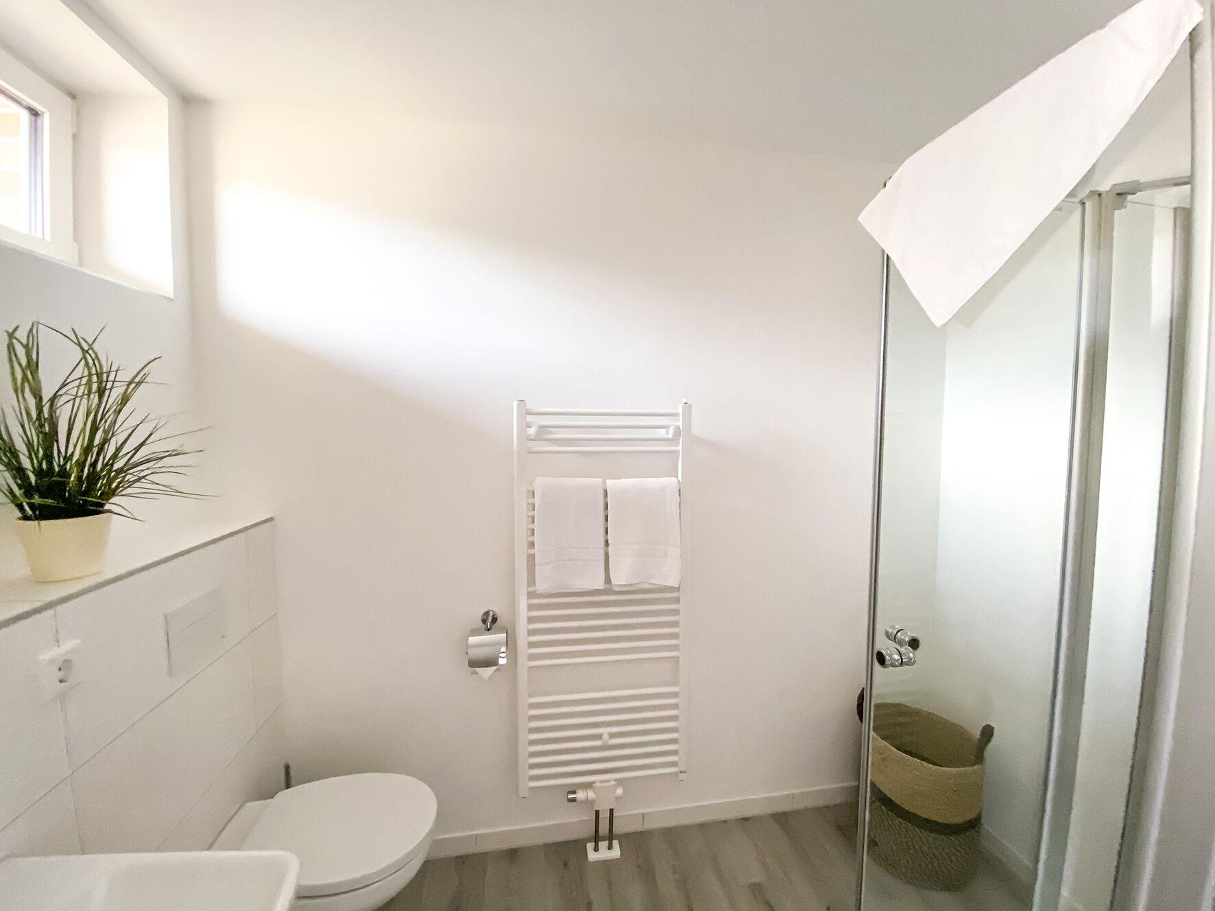 Un baño moderno con un inodoro blanco, un perchero con dos toallas, una planta en maceta y un box de ducha de vidrio.