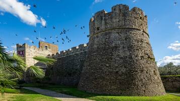 A historic stone castle with a fortified wall, a pathway, and a palm tree.