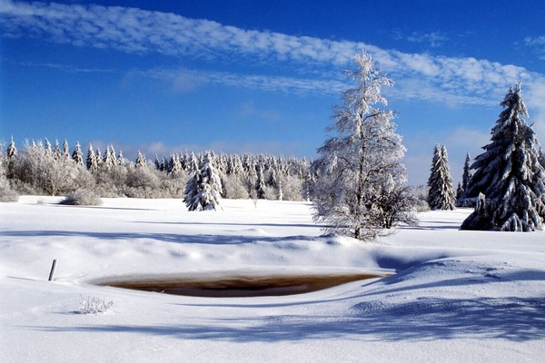 Deportes de invierno y ski