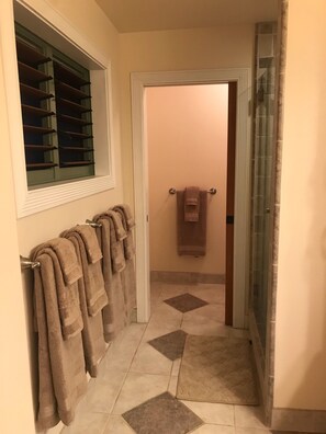 Shower, hair dryer, towels, soap - Beautiful, large studio with Mountain views from deck, beach access & A/C (Princeville)