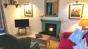 Una sala de estar con televisor, chimenea, sofá rojo y sillón verde.