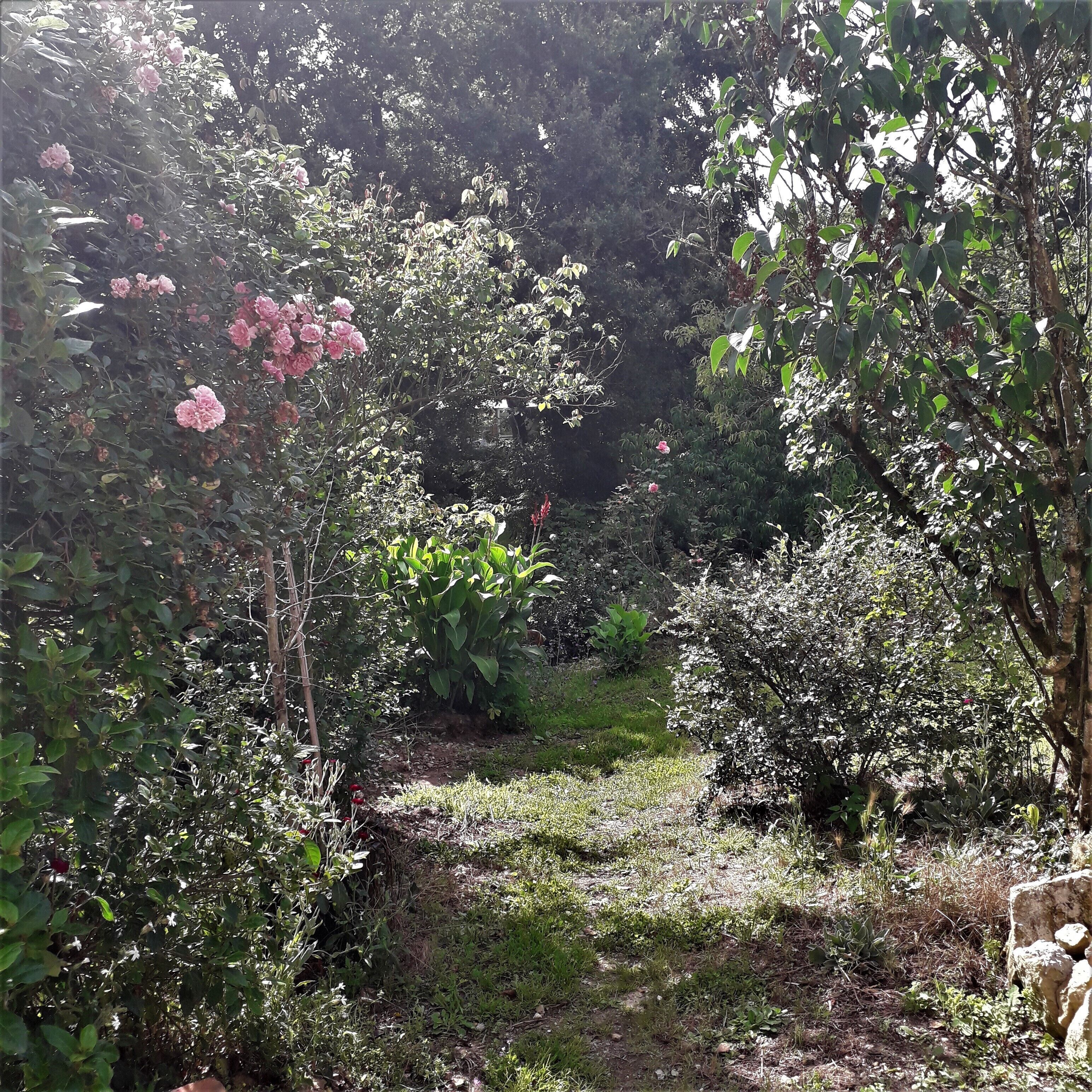 Un jardín con diversas plantas y flores, un sendero y una estructura de piedra.