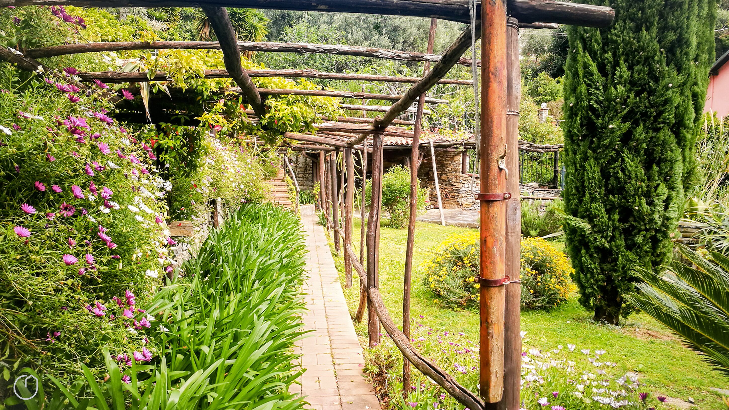 A garden with a wooden pergola, a stone pathway, and various plants and flowers.