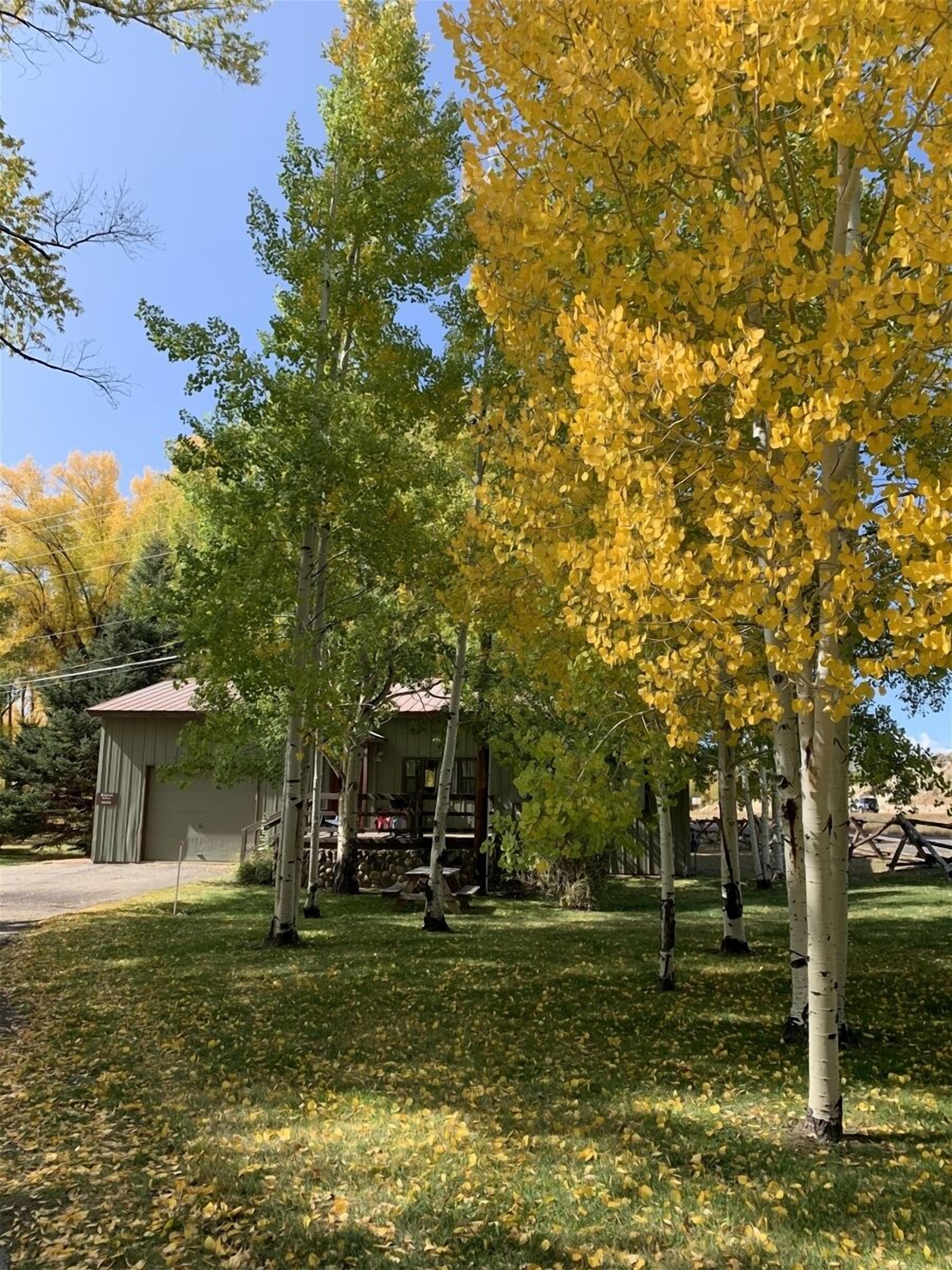 Aspen House by the River