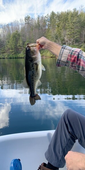 Une personne tenant un poisson sur un bateau, avec un lac calme et des arbres en arrière-plan.