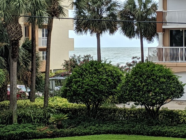 Property grounds - Paradise Oasis (Redington Beach)