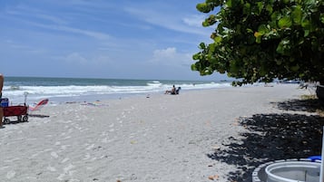 Playa en los alrededores