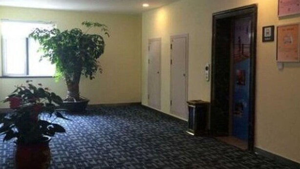 A hallway with a potted plant, a door, and a poster on the wall. - 7 Days Inn (Dongying)