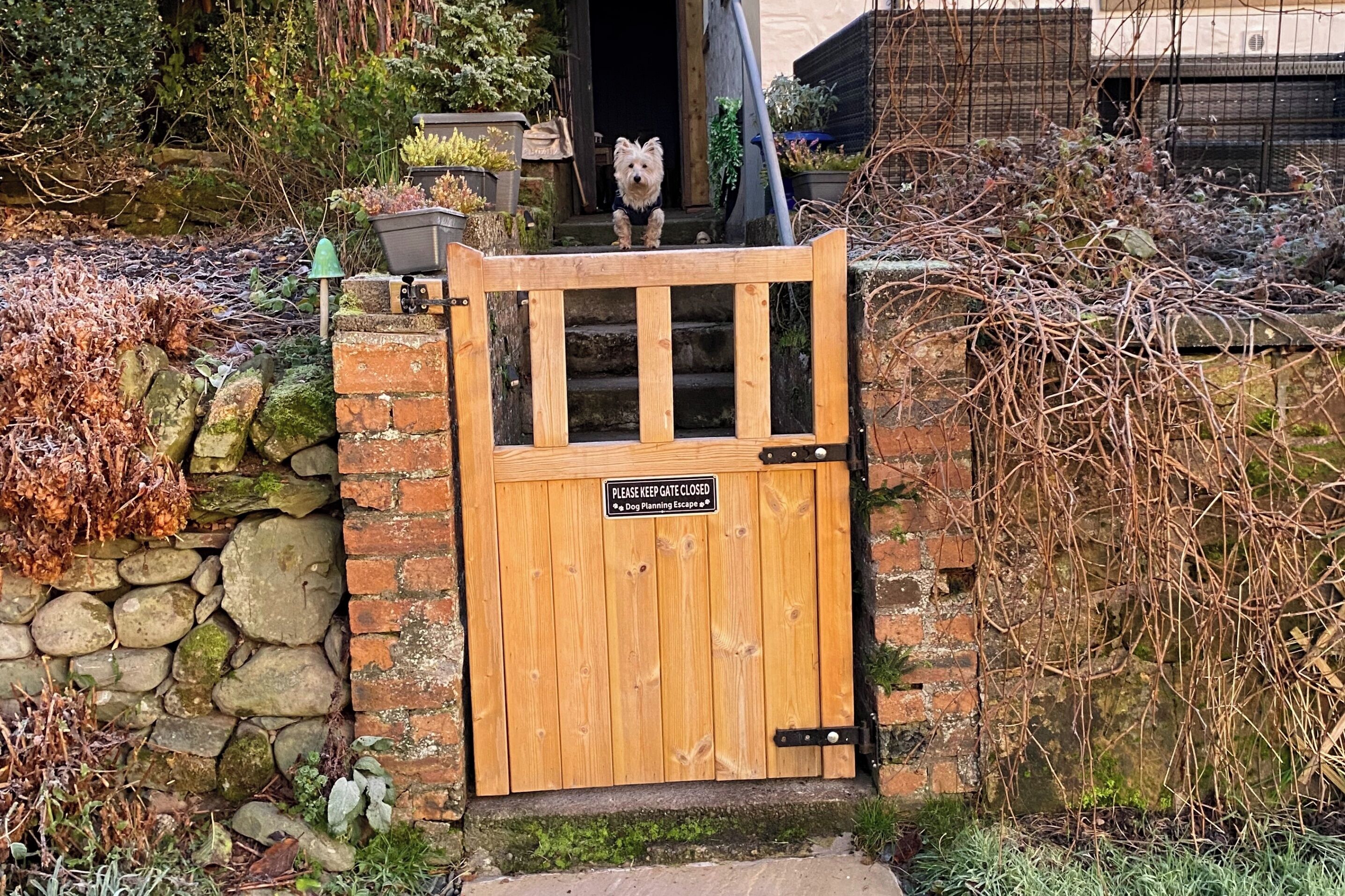 المنطقة المحيطة بالمنشأة