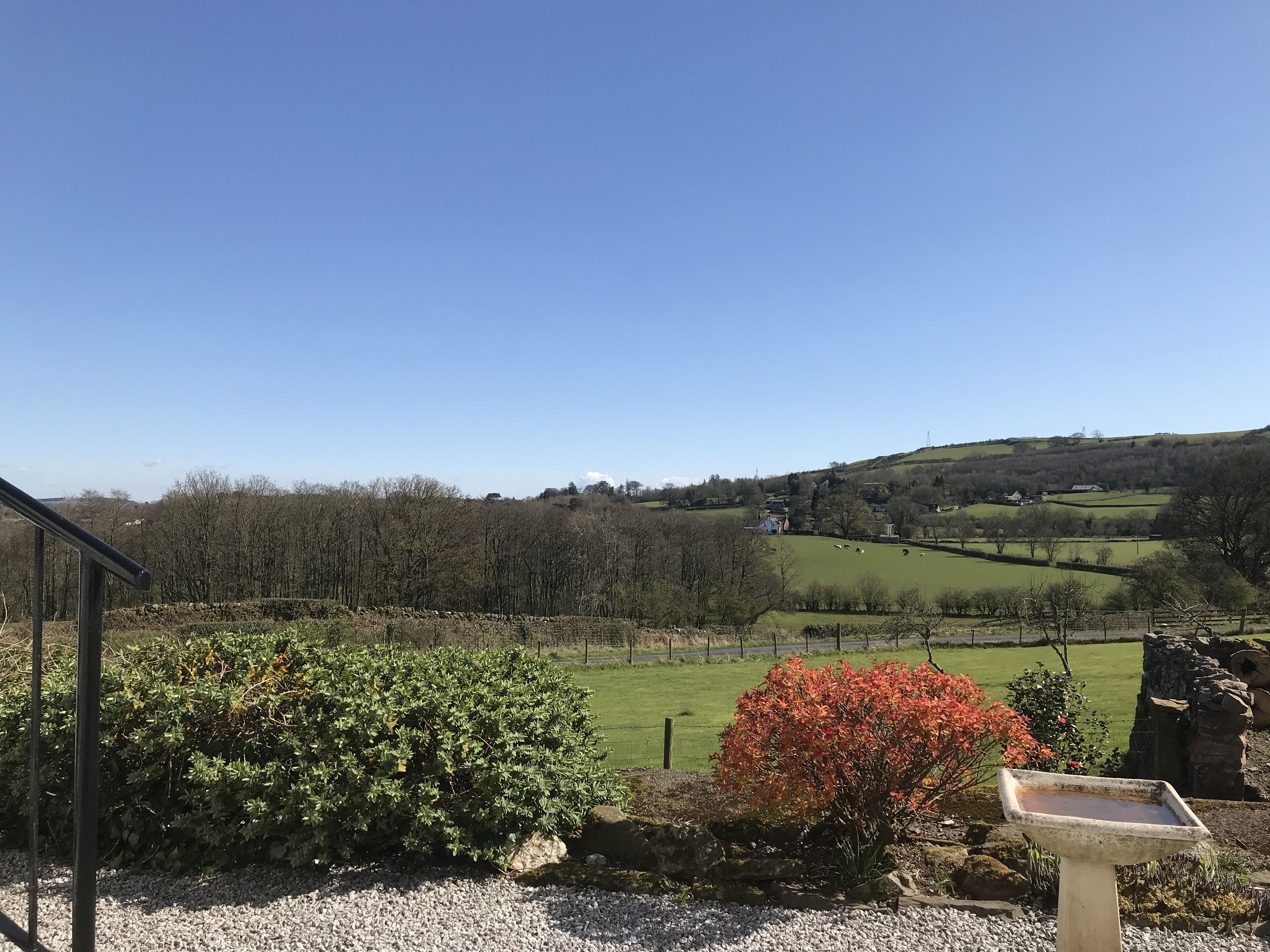 Cabin, 1 giường cỡ queen | Khuôn viên nơi lưu trú