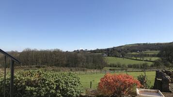 Cabin, 1 giường cỡ queen | Khuôn viên nơi lưu trú