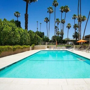 Pool - Mid-Century Modern Desert Escape (Palm Springs)