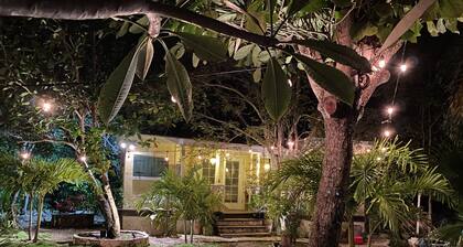 Charming Cottage nestled within the trees-Newly Refurbished