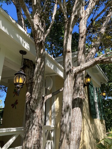 Charming Cottage nestled within the trees-Newly Refurbished