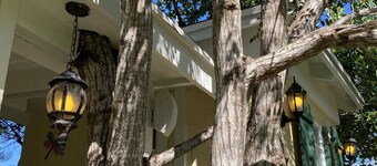 Charming Cottage nestled within the trees-Newly Refurbished