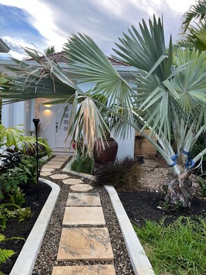 A garden pathway leading to a house with a red roof, surrounded by various plants and a large potted plant.