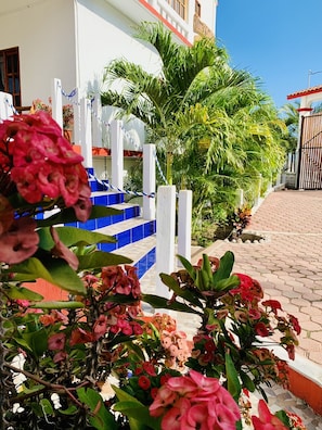 Stunning entrance to a serene residential haven surrounded by lush greenery and beautifully manicured grounds.