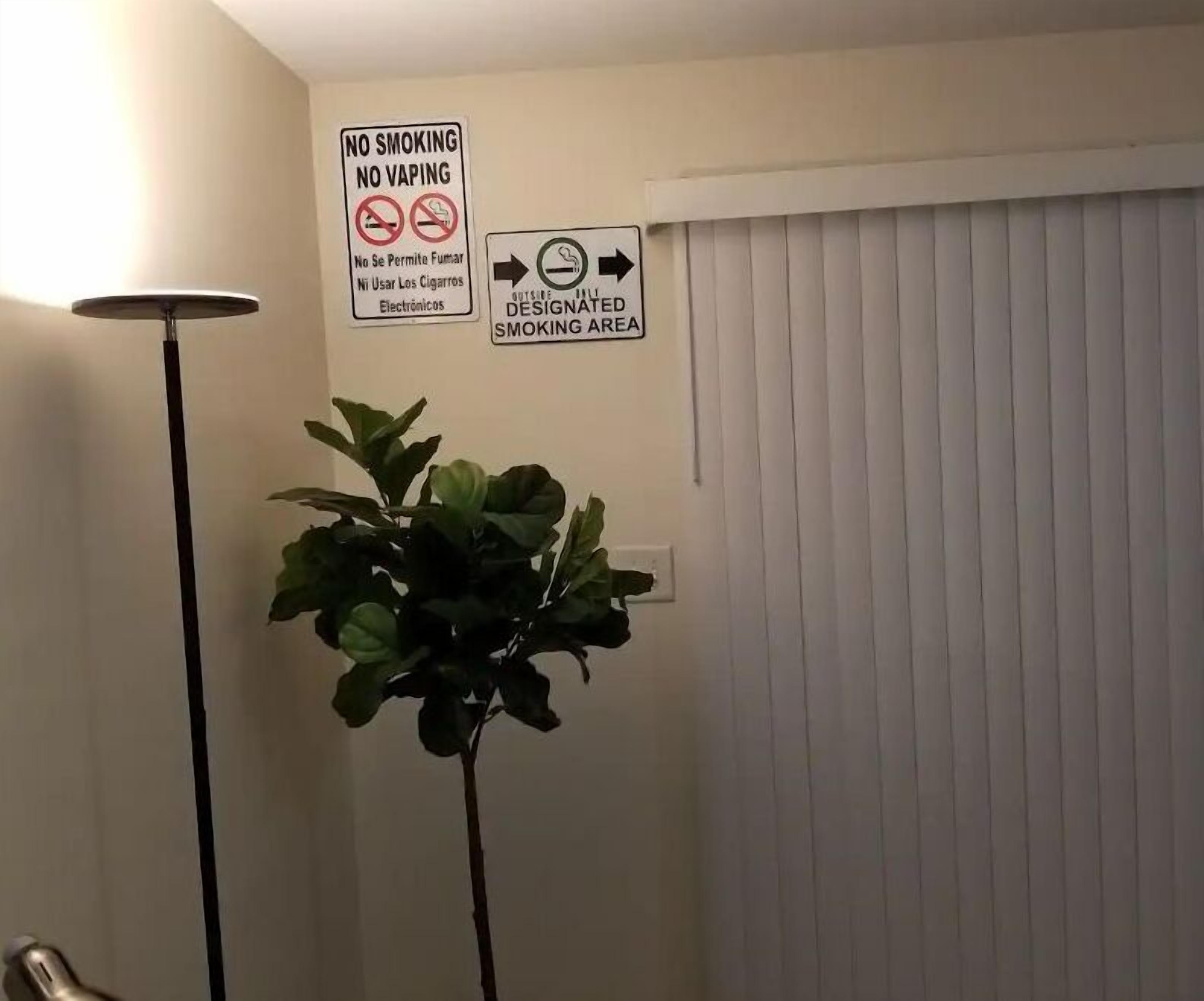 A no-smoking and no-vaping sign, a designated smoking area sign, and a potted plant in a room with a window and blinds.