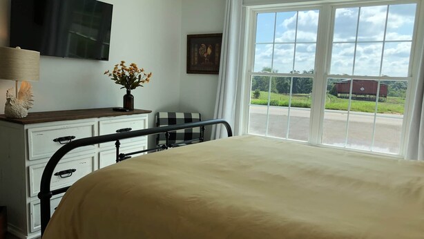 A bedroom with a bed, a dresser, a television, a window with a view of the outdoors, and a framed picture on the wall.