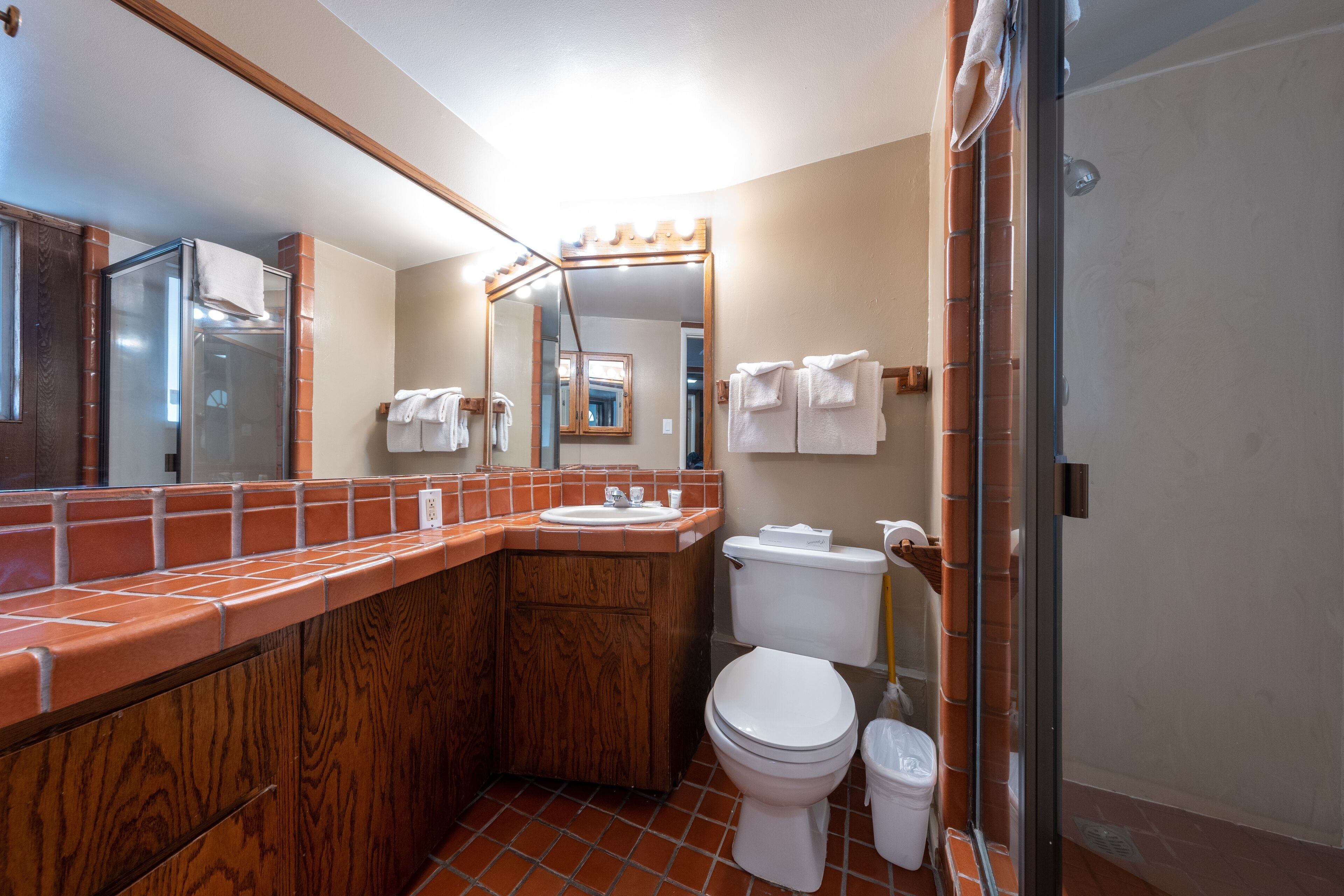 Un baño con tocador de madera, lavamanos, inodoro y zona de ducha.