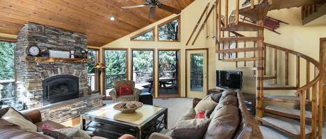 Televisión, chimenea y reproductor de DVD