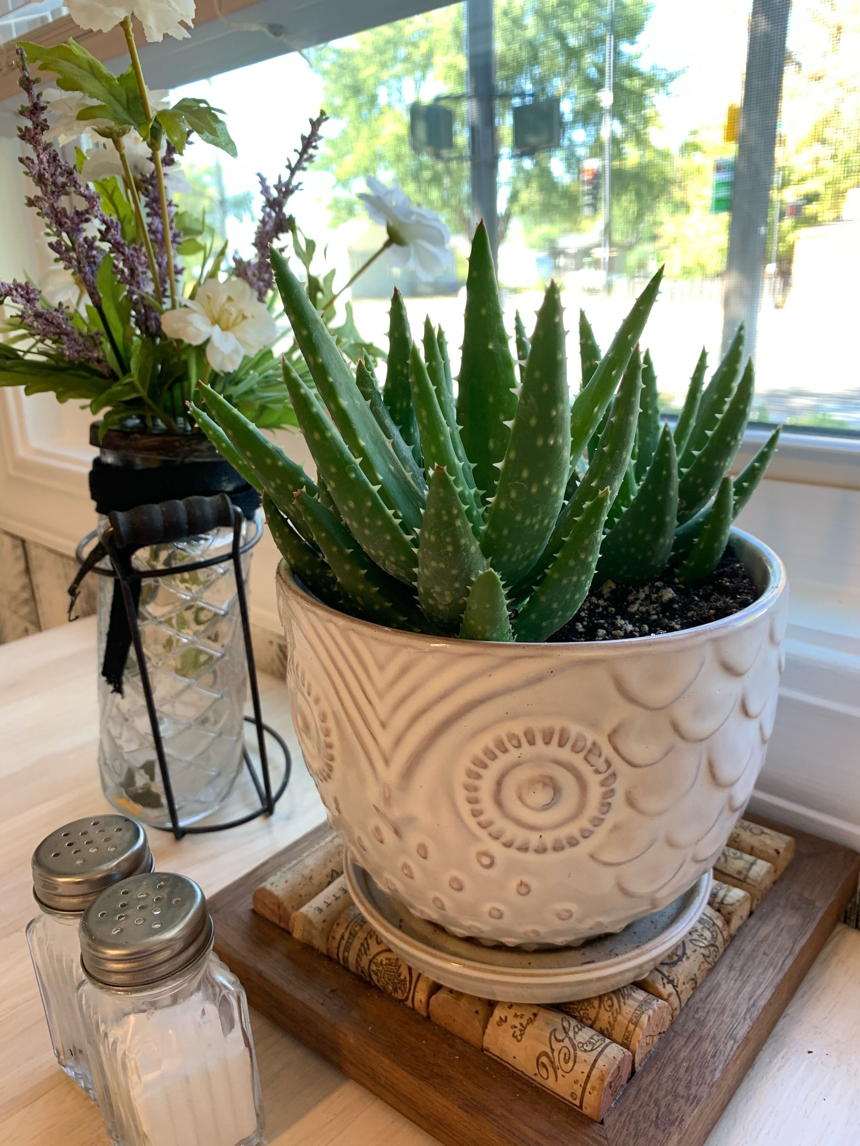 Outdoor fireplace,  hot tub, coffee bar. Close to green belt and downtown