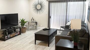 Smart TV, DVD player, books