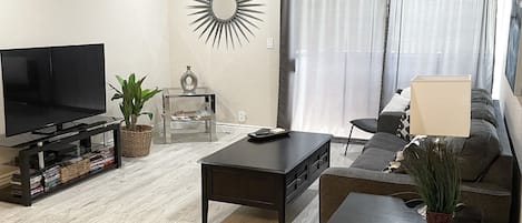 Smart TV, DVD player, books