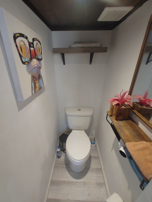 A small bathroom with a toilet, a sink, a mirror, and a shelf with plants.