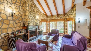 Una televisión, una chimenea