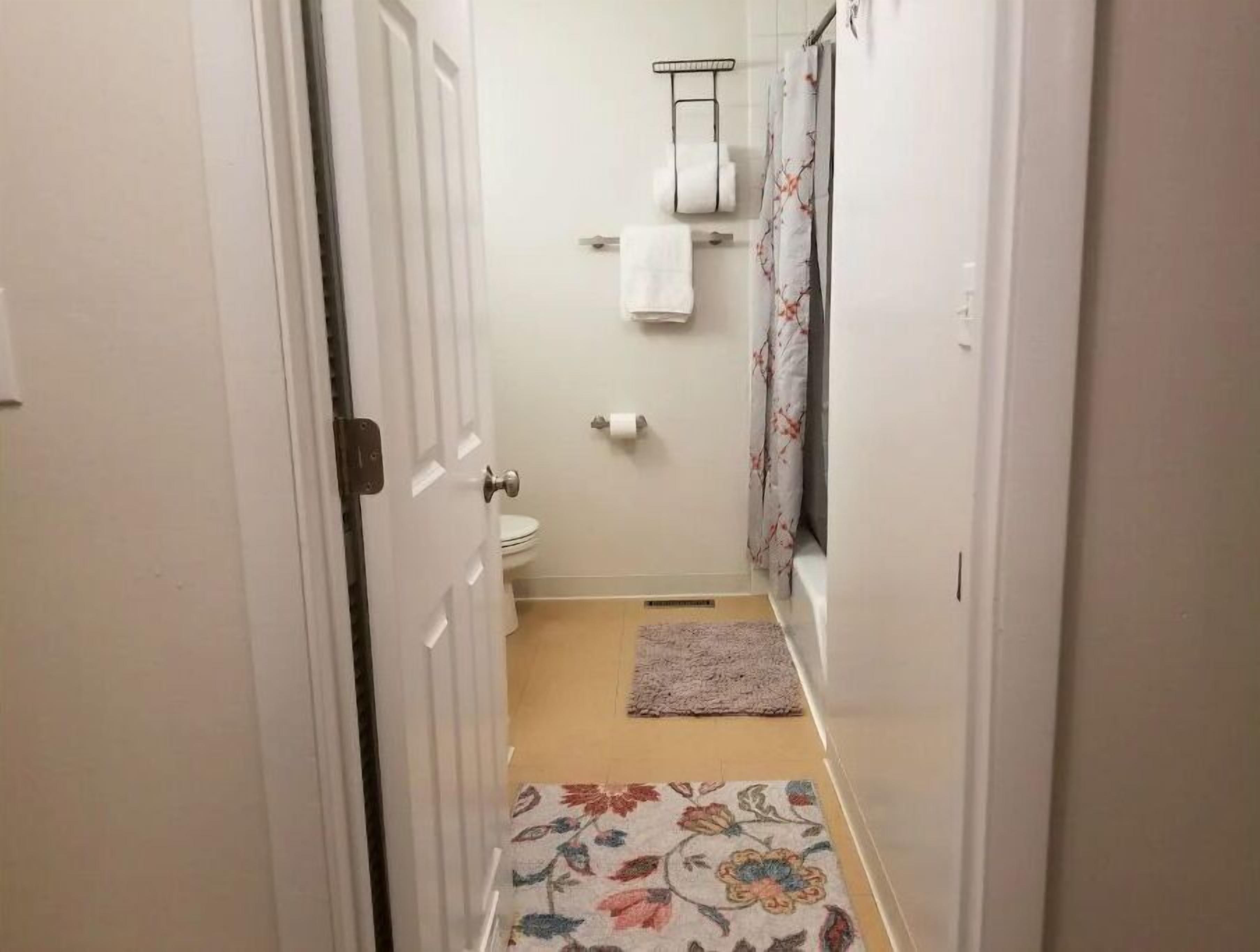 Combined shower/tub, hair dryer