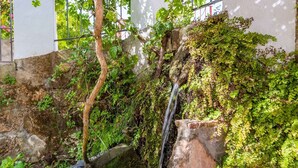 A garden with a small waterfall, a tree, and dense foliage. - Molino Maroto Alhaurín el Grande by Ruralidays (Málaga)