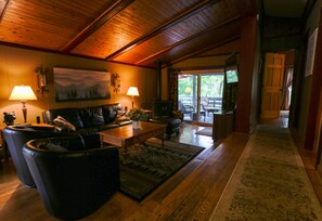 Smart TV, fireplace, books, stereo