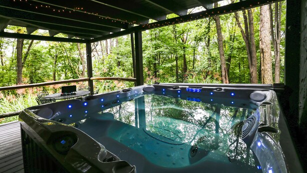 A hot tub with a view of a forest. - Special…rent 2 nights get the 3rd night…FREE! (Champion)