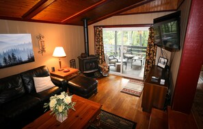 Smart TV, fireplace, books, stereo