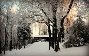 Wander through a serene winter forest, surrounded by snow-covered trees and a distant structure.